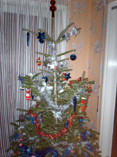 Le sapin de no�l
